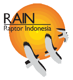 Raptor Indonesia